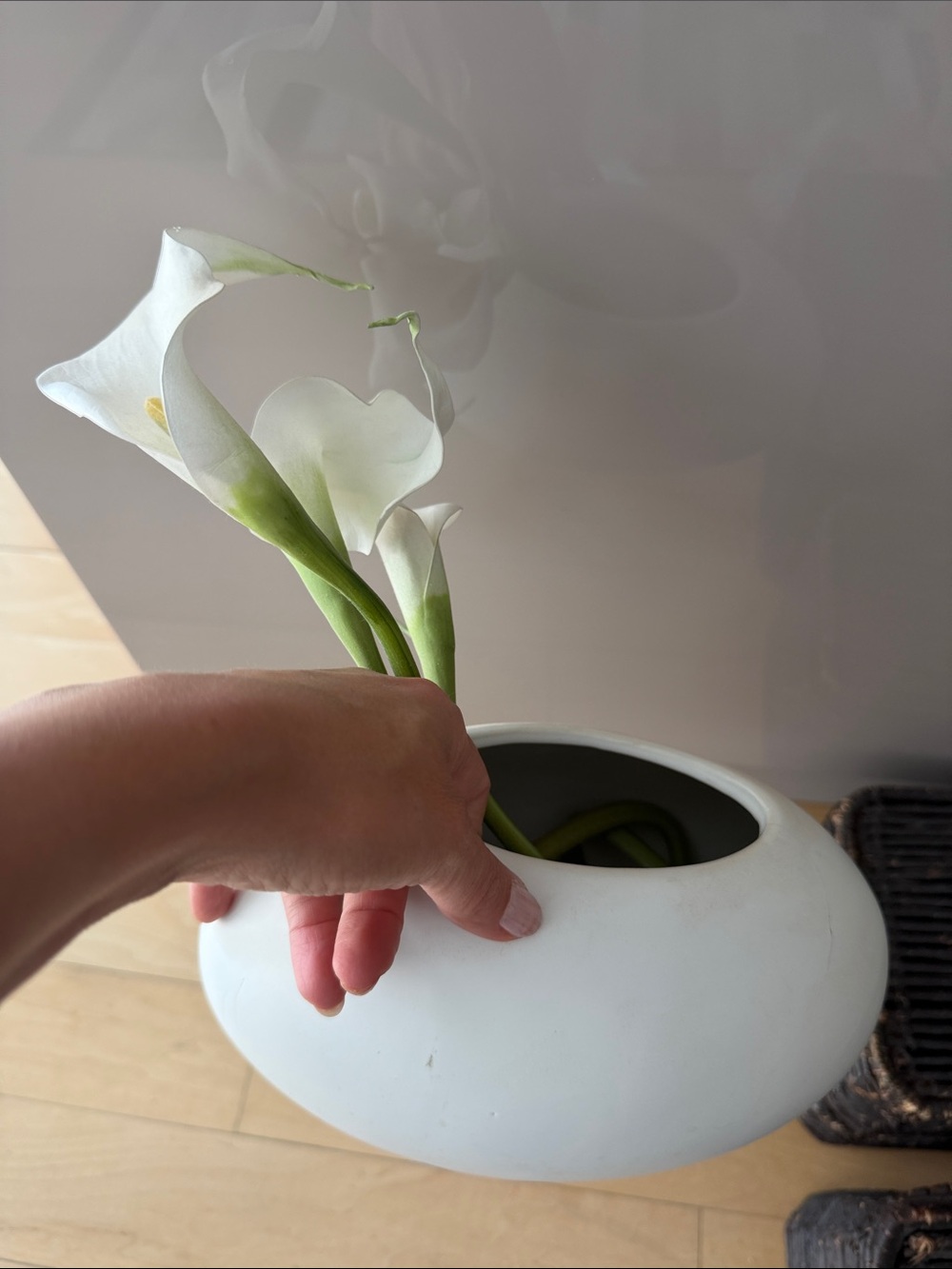 🗽CB2 White Oval Ceramic Vase Bottom View